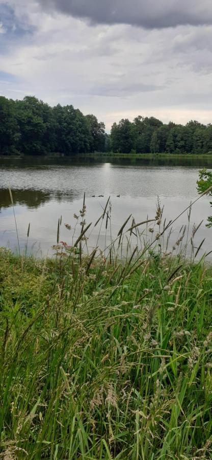 Agroturystyka Aura Kostrzyca Exterior foto