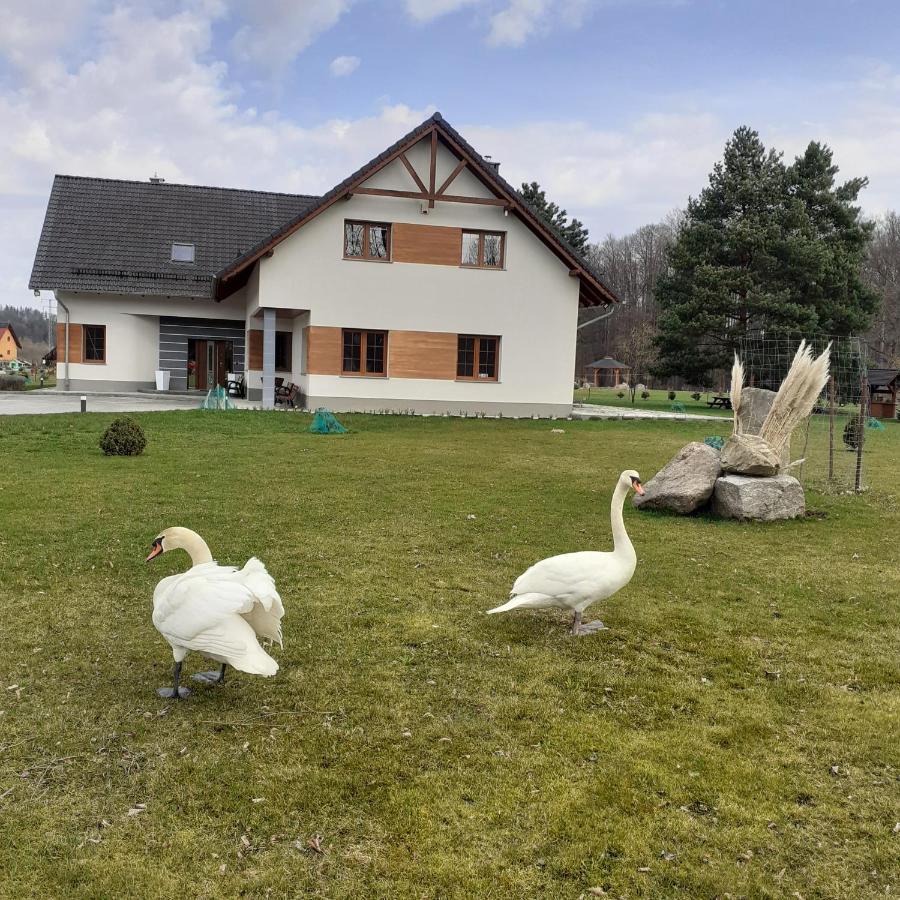 Agroturystyka Aura Kostrzyca Exterior foto