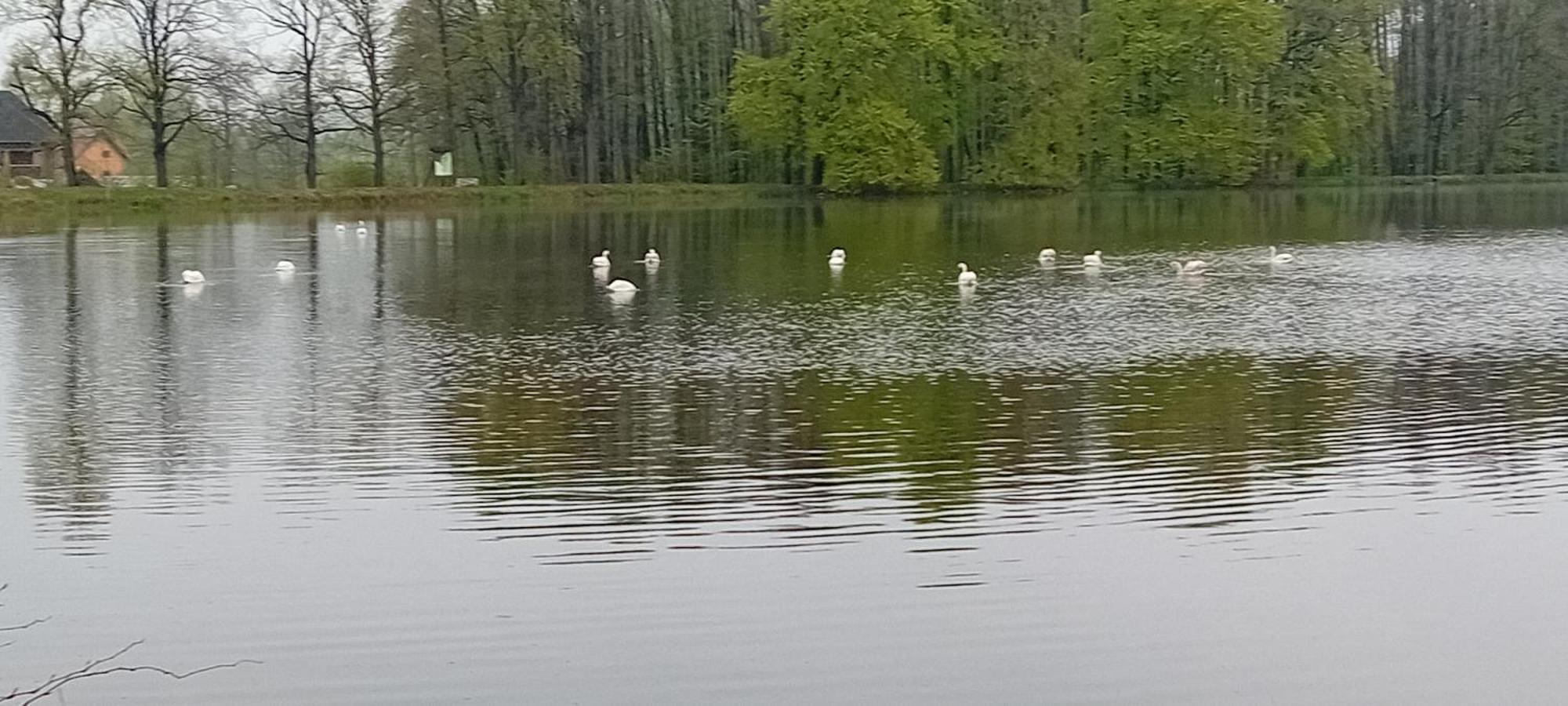 Agroturystyka Aura Kostrzyca Exterior foto